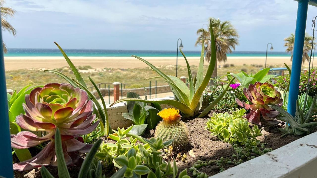 Tarifa Cozy House - Beachfront, Stylish Deco Exterior photo